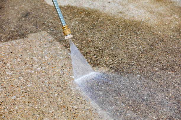 Best Sidewalk and Walkway Cleaning  in Fridley, MN